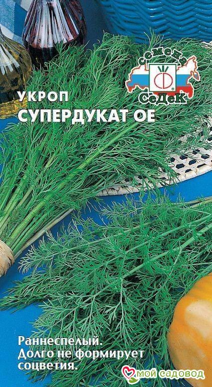 Укроп Супердукат